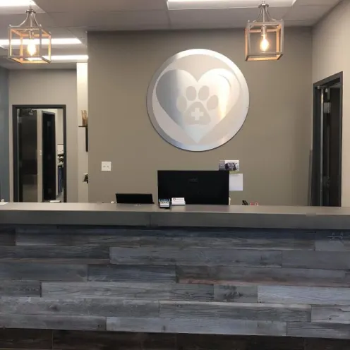 Foxmoor Veterinary Clinic Reception